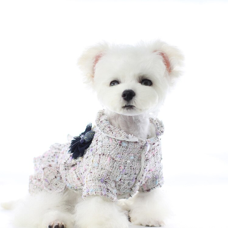 Vinter nyeste grå hvide farver xs-xl størrelser varme kjoler til hunde efterår og vinter hvalp søde blonder indretning yndefulde kæledyr nederdele