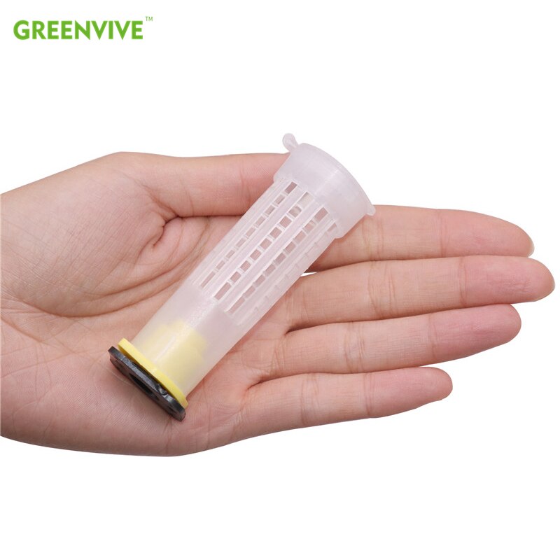 10 sztuk pszczoła królowa klatki plastikowa pokrywa ochronna klatka komórka skrzynka puchar hodowli nowe pszczoły król narzędzia pszczelarstwo pszczelarstwo zestaw pszczelarstwo