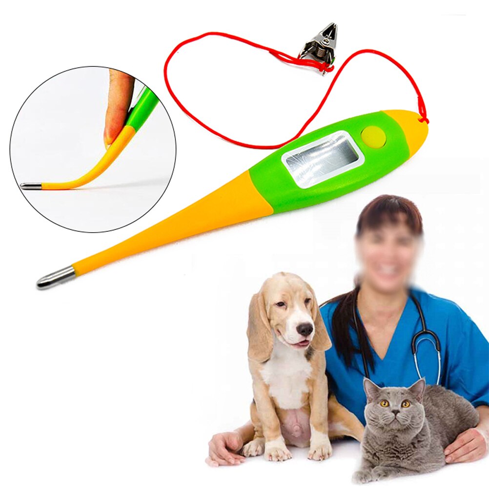 Kæledyr elektronisk termometer hund digitalt termometer til hunde kattegris veterinærforsyninger: Default Title