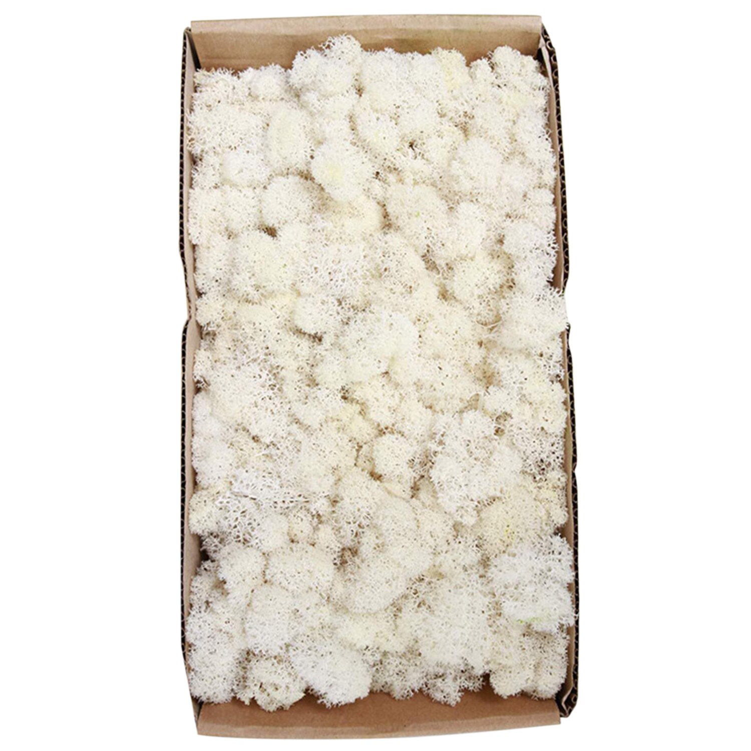 Preserved Moss Wall Decor Real Preserved Moss No Maintenance Required Naturally Preserved Moss Home Wall Party Festivals Crafts: Type 14