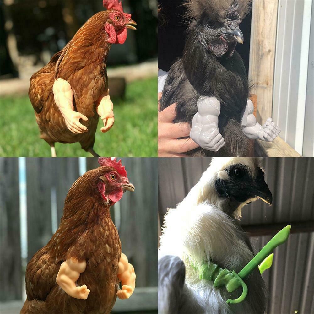 Bras de poulet musclé, Gag, bras de poulet à porter,