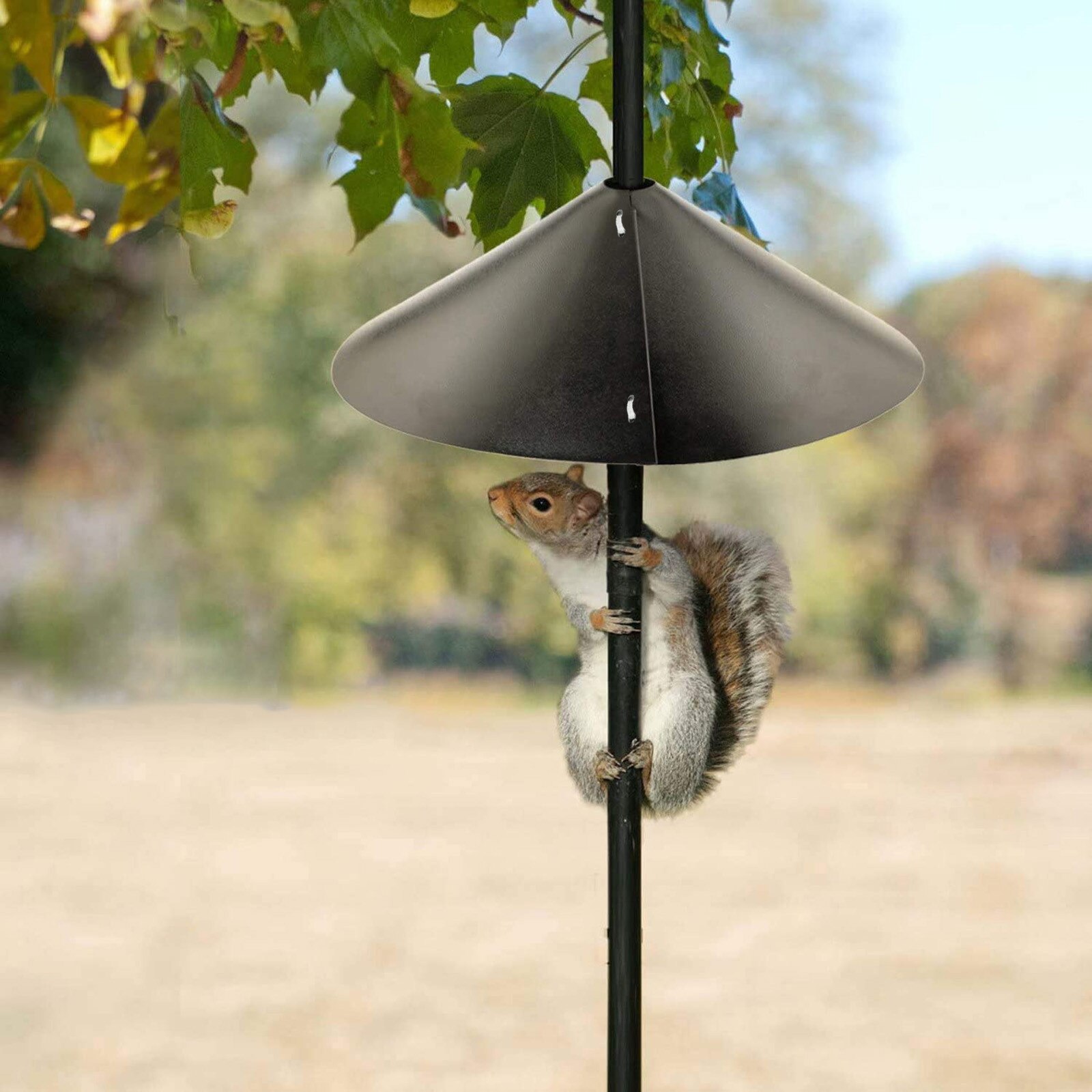 Wrap Around Squirrel Baffle 18-Inch Unique Wrap-around Squirrel Baffle garden decoration outdoor jardineria decoracion