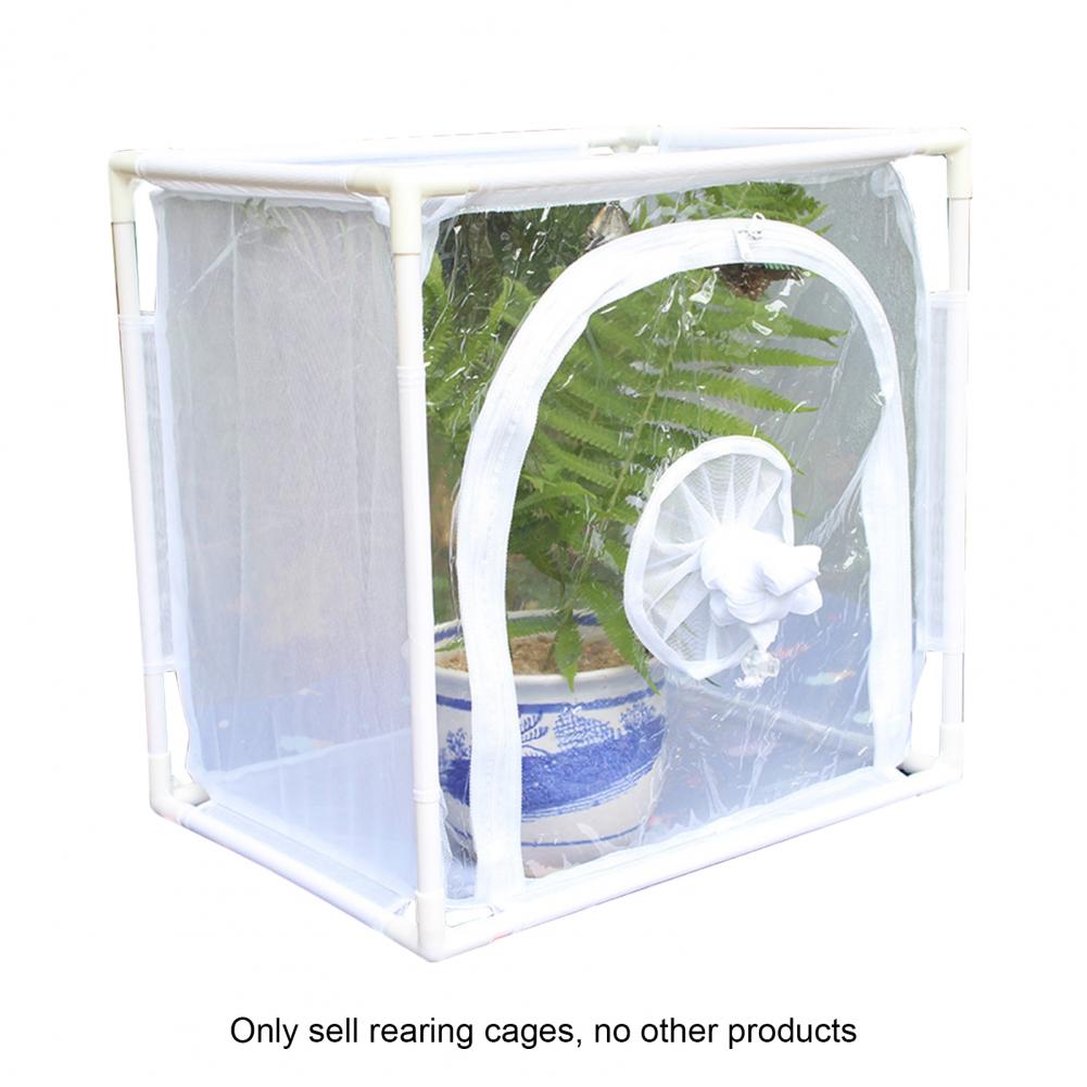 insect rearing cage plant cage Mesh Cage Wear Resistant Collapsible Plant Insect Small Animal Observation PVC stent Net Cage