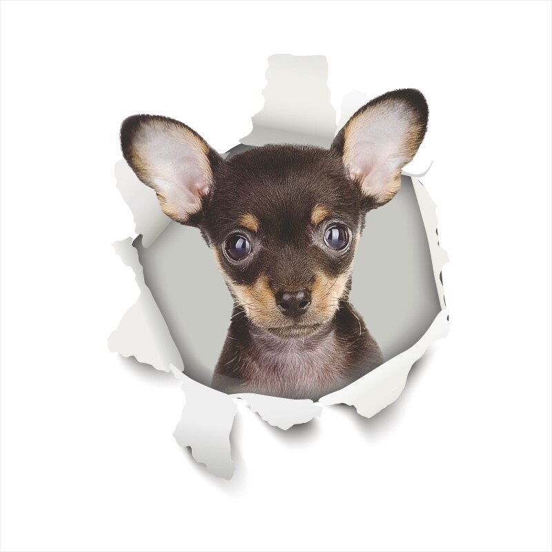 Leuke Hond Kat 3d Gebroken Gat Wc Stickers Voor Wasruimte Huis Decoratie Diy Ainimals Muurschilderingen Cartoon Puppy Kitten Kids decal: GTP025AE