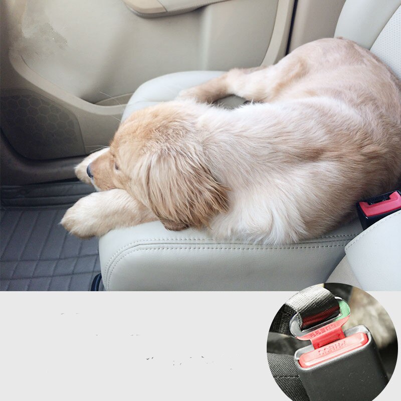 Kæledyr hund kat bil sikkerhedssele justerbar sele sikkerhedssele bly snor til små mellemstore hunde rejse klip kæledyrsforsyning 5 farver