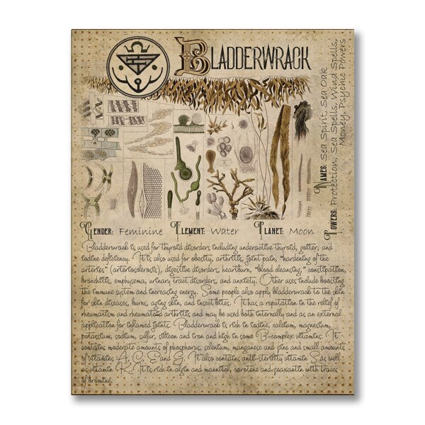 Book of Shadows Poster Pages of Herbs Prints Witchcraft Herbal Grimoire BOS Sheets Magic Painting Herbarium Decoration: Yellow / 21x30cm No Frame