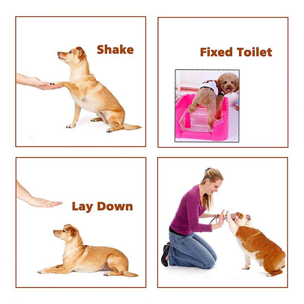 Transer Hond Tranining Supply Hond Huisdier Clicker Training Aid Polsband Smart Dog Training Huisdier Tool Met Polsband