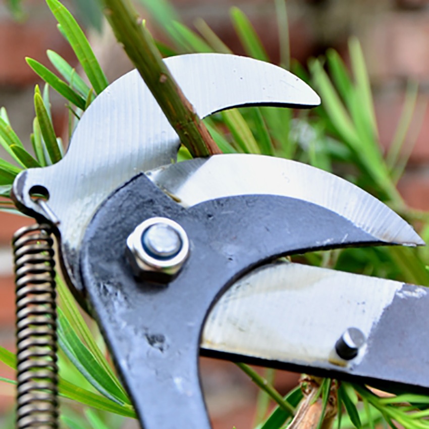 high altitude pruning shears tree trimmer branches cutter garden pruning scissor pick fruit tool with rope useful shear