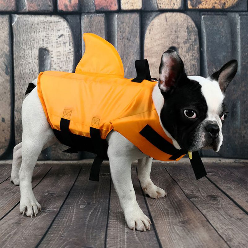 Chaleco salvavidas con forma de tiburón para perro, ropa de seguridad para Bulldog Francés, chaleco de natación de verano para perros pequeños, medianos y grandes