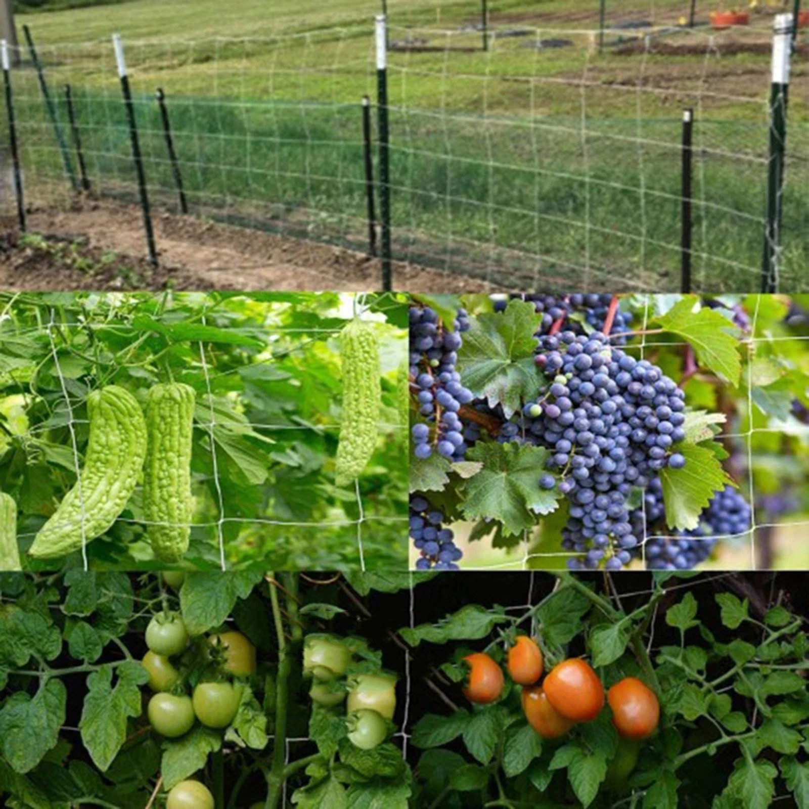 1.67x10m Netting Plant Vine Climbing Net Support Garden Woven Polyester Nylon Fence Green 5×30FT