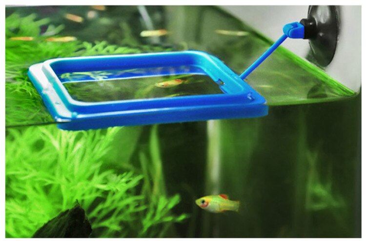 Nicrew Aquarium Feeding Ring Fish Tank Floating Food Tray Feeder Square Circle Accessory Water Plant Buoyancy Suction Cup