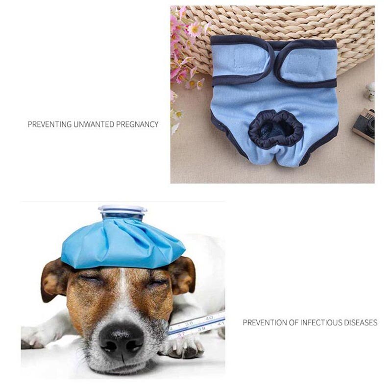 Dog Diapers Physiological Pants for Female Dog Puppy Sanitary Washable Dog Diapers Underwear Short Panties Pet Underwear