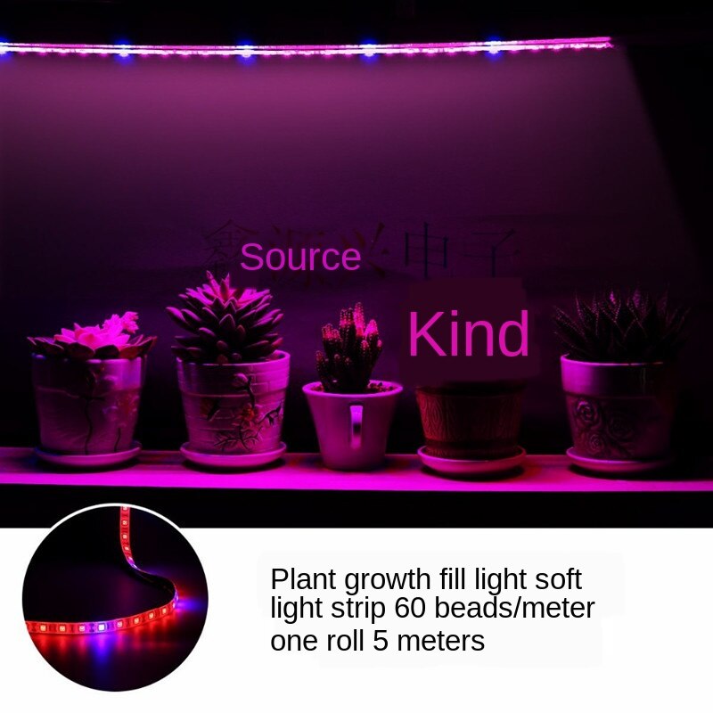 5050 Led Strip Voor Planten Groeien Led Licht Groeien Phyto Lamp Voor Planten Phytolamp Voor Zaailingen Phyto Lamp Voor Planten groeiende Groei