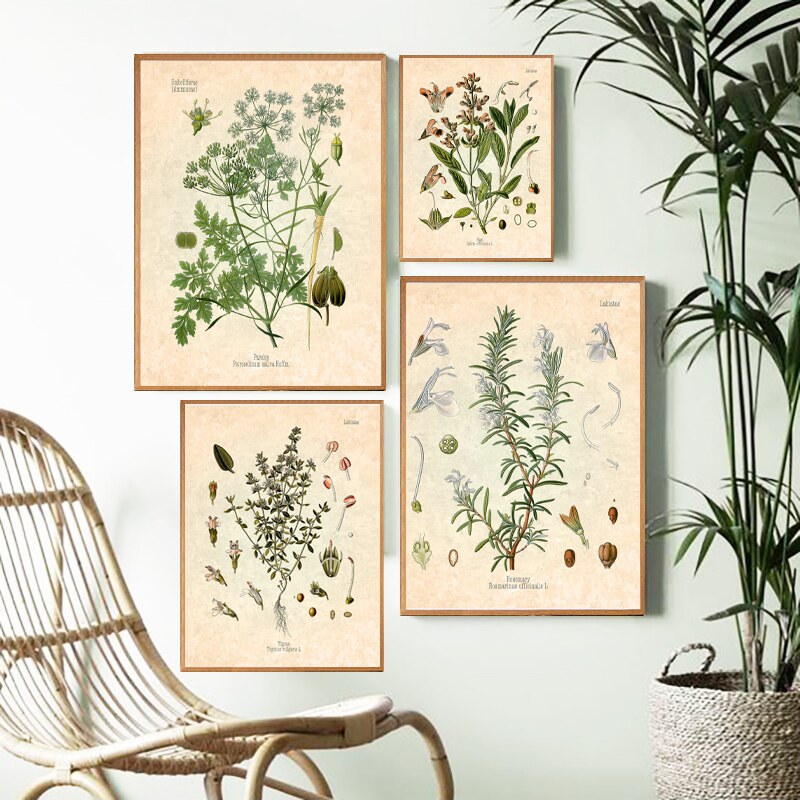 Krydderier urter print vintage botanisk plakat persille salvie rosmarin timian kulinarisk væg kunst billede maleri køkken indretning