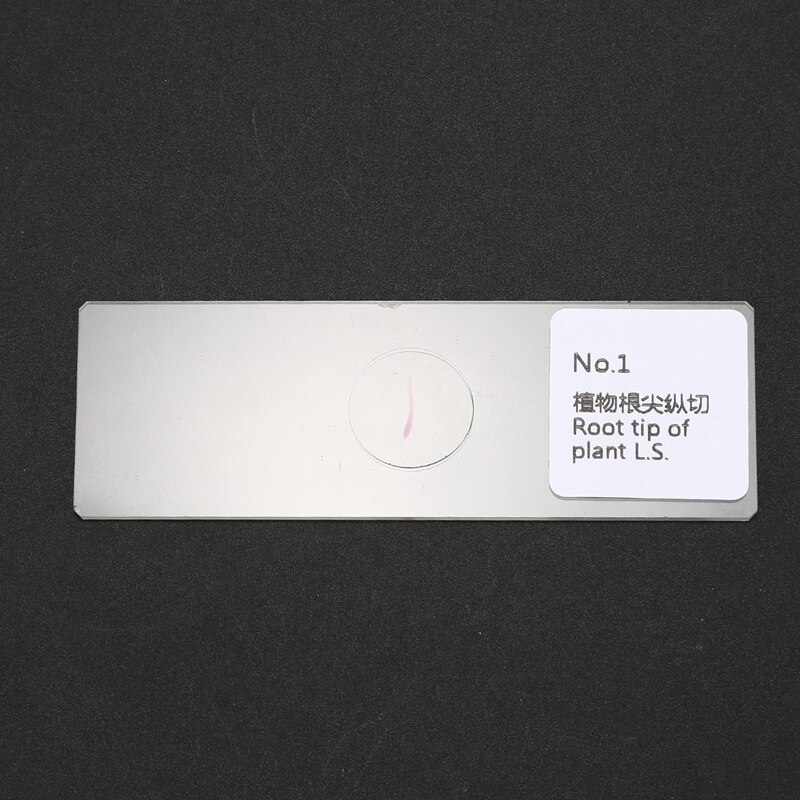50PCS Wooden Slide Storage Box With Metal Buckle, Large Capacity For Neatly Holding Microscope Slides