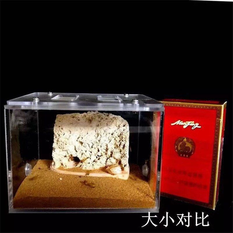 Sand Included Bionic Acrylic &amp; Gypsum Ant Nest Housing Ants Farm Formicarium For Ant Colony