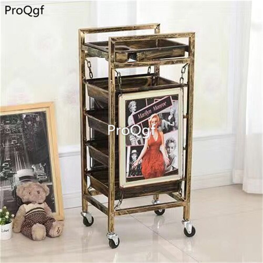 Prodgf 1 Stuks Een Set Verwijderbare Kapsalon Trolley: 11