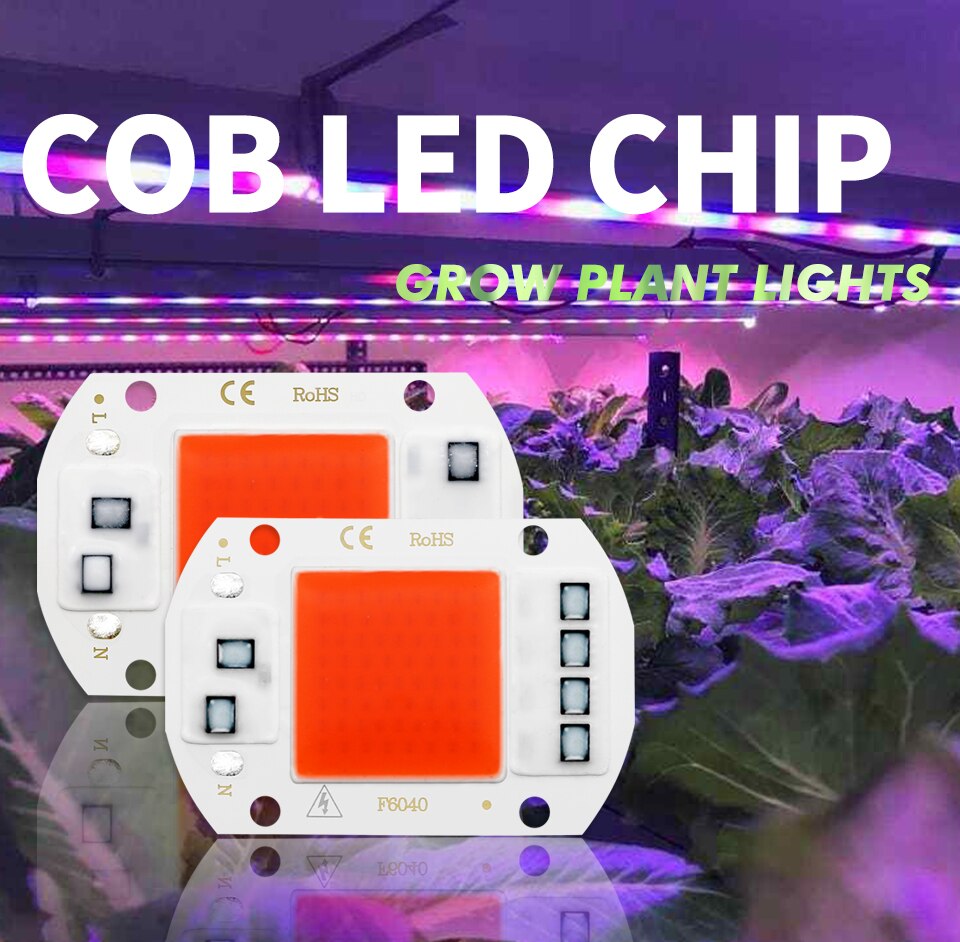 Seedling Grow Lamp Growth LED For Indoor Ccessories Flower Full Spectrum COB Smart 1PC Light Plant DIY Chip Phyto Lamp