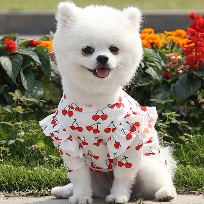 Colete de cachorro para cachorro, s/m/g/gg, fleece de inverno, quente, desenho, amarelo, roupa de cachorro para cachorro pequeno, camiseta para escolher