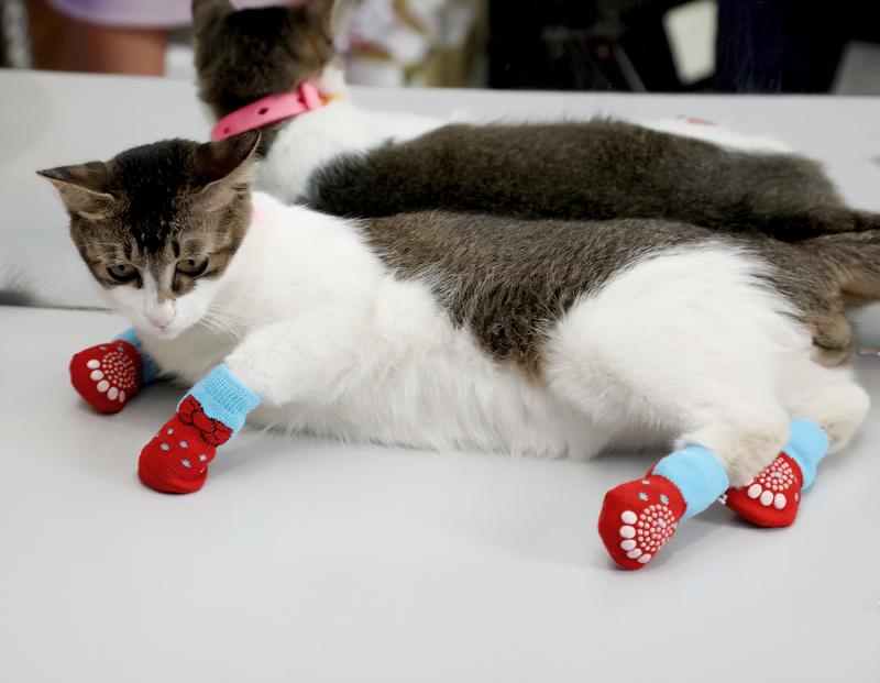 4 pièces chiot chien chat chaussures doux tricot pour animaux de compagnie chaussettes mignon dessin animé anti-dérapant chaussettes pour petits chiens bottes de neige pour animaux de compagnie chaussettes produit