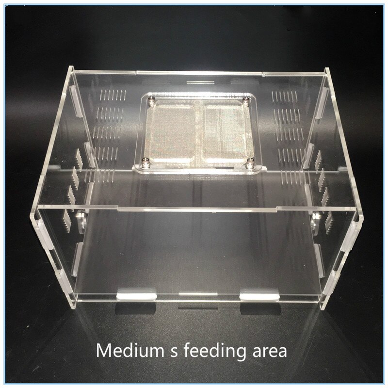 Acrylic feeding area small pet feeding box all kinds of ant nest expansion special medium feeding area box ants farm house: Light Green