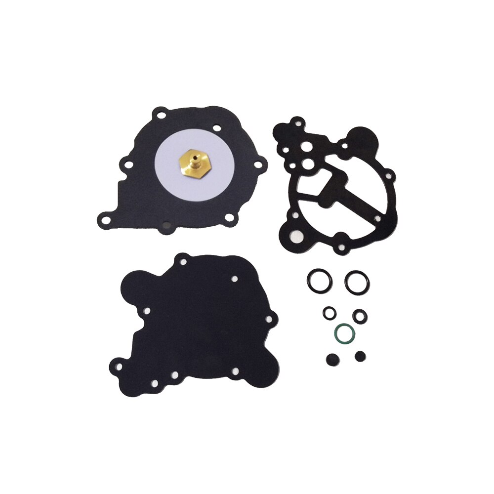 Automatyczny reduktor gazu alaska parownik robić Tomasetto w09: Szary