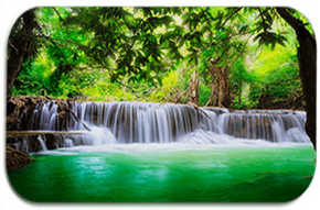 Forest Tree Waterfall Flannel Non-Slip Bath Mat Toilet Cover Rugs Shower Curtain With 12 Hooks Green Bathroom Decor Set: Bath Mat (1Pcs)