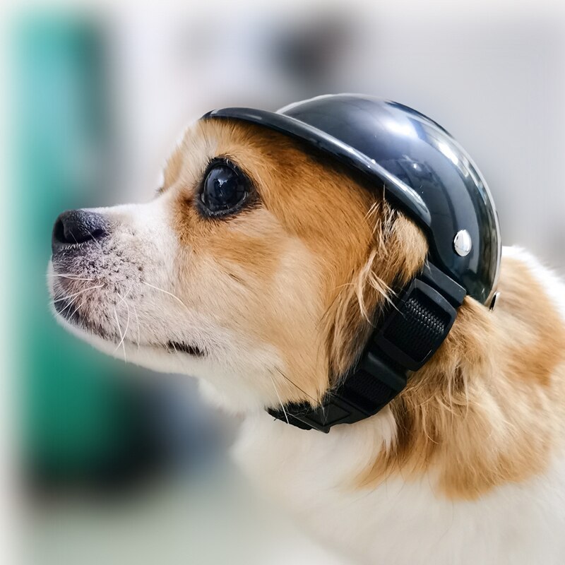 Cool Hond Helmen Voor Motorfietsen Abs Mode Hond Hoed Helm Plastic Huisdier Beschermen Ridding Cap