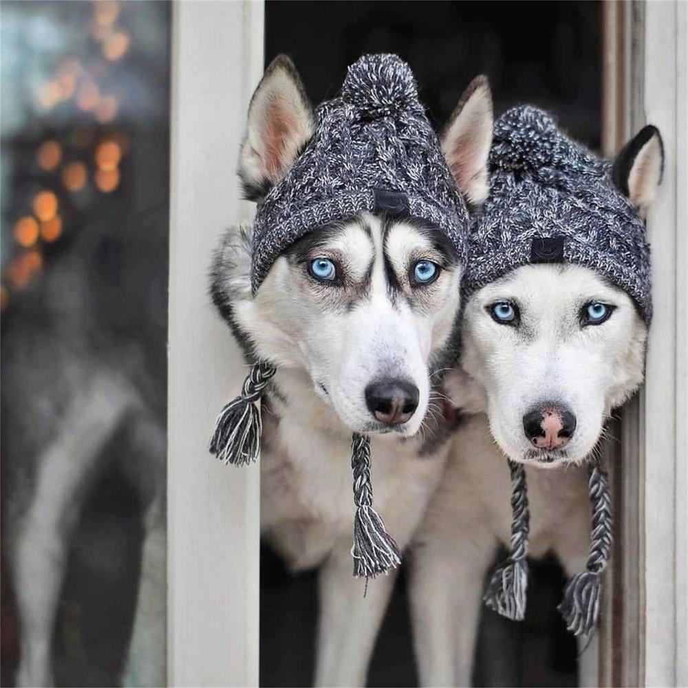 Winter Hond Hoed Schattig Warm Winter Cap Voor Hond Mutsen Cap Met Pompon Gehaakte Snood Kleding Voor Honden Одежда Для собак