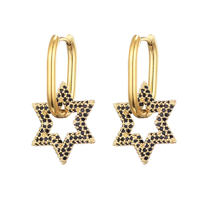 Lovbeafas Ster Ronde Roestvrijstalen Oorringen Voor Vrouwen Zirkonia Geometrische Gouden Kleur Bruiloft Elegante Sieraden: Rose Goud Kleur
