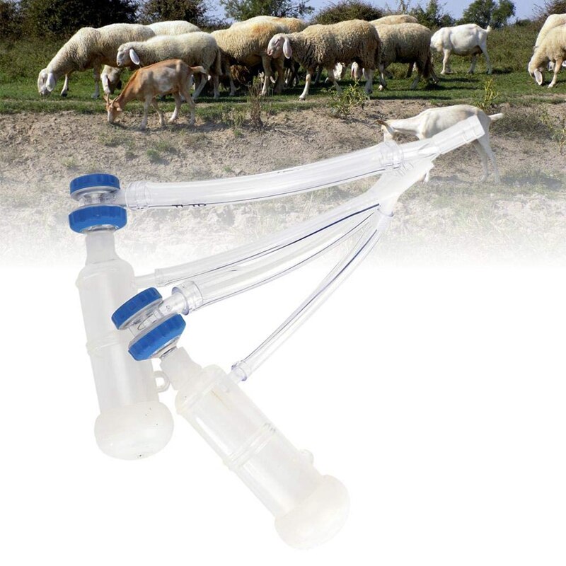 Piezas de la máquina de ordeño de cabra y oveja, Kit de Garra Para máquina de ordeño, accesorios de leche para granja de ovejas