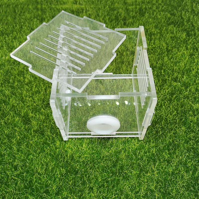 Acrylic Ant Nest Square Ant Farm Activity Area Climbing Pet Breeding Ornamental Box Ant Colony Breeding Box Diameter 18mm