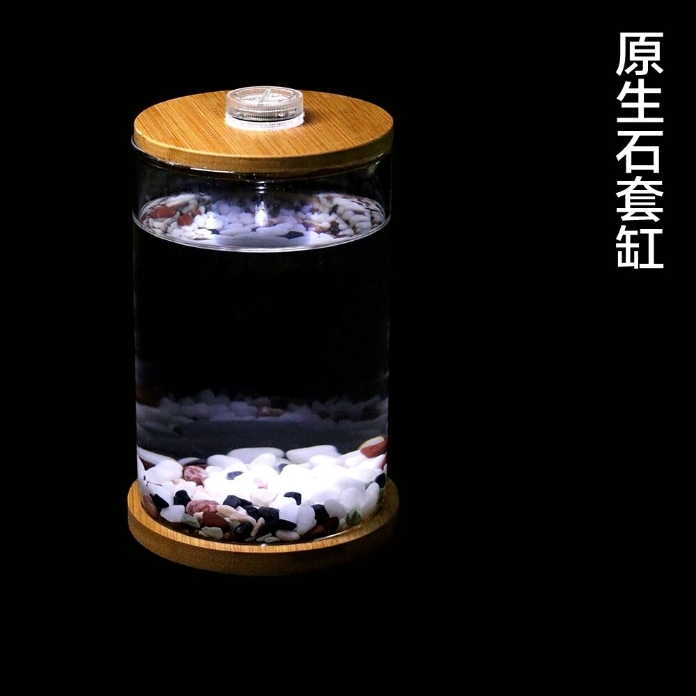 Bucket Aquarium Mini Small Glass Aquarium Desktop Micro Landscape Viewing Office Aquarium Ecological Bottle Aquarium Acuario: White