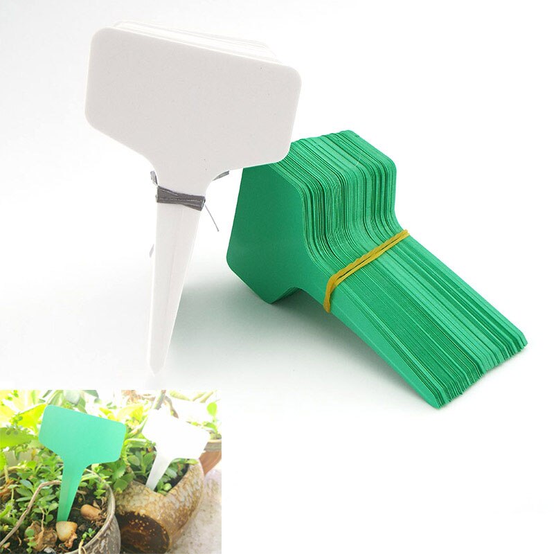 10*6 cm haveplanteetiketter klassificering sorteringsmærke billet plast skriveplade bordstik i kort hvidgrøn: Grøn -50 stk