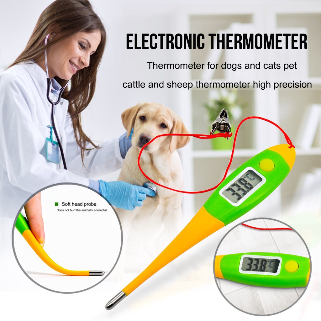1Pc Intelligente Digitale Thermometer Voor Honden Kat Varken Dieren Elektronische Thermometer Professionele Tools Veterinaire Benodigdheden