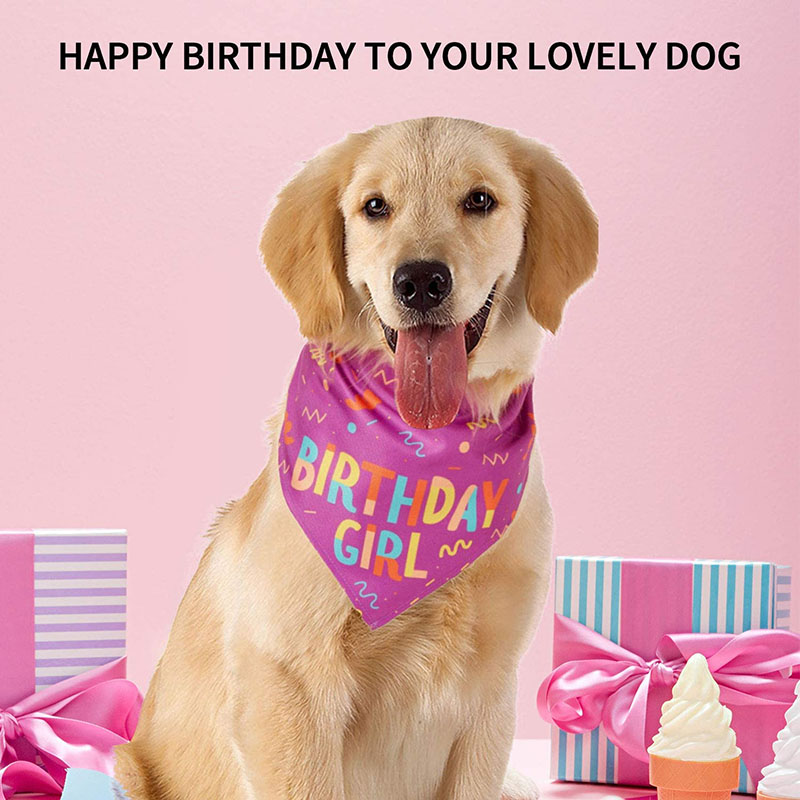 Bandana pour chien, grand foulard pour animaux de compagnie, de noël ou d&#39;anniversaire, bavette triangulaire lavable pour chat