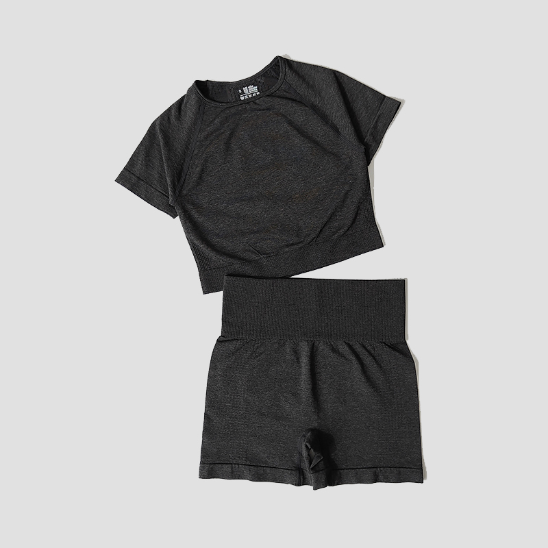 Conjunto de Yoga sin costuras para mujer, Top corto, camisa de manga corta, pantalones cortos de Fitness, ropa de entrenamiento para mujer, ropa de gimnasio, conjunto deportivo de Yoga: L / Morado