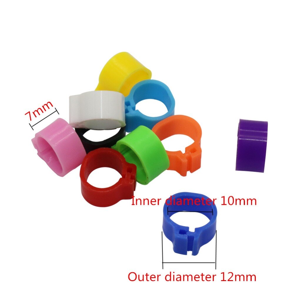 Innen Durchmesser 10mm Kleine Vogel Kunststoff Clip Ring Taube Farbe Fuß Ring 10 Farbe Taube Wachtel Baby Vogel Liefert 100 stück