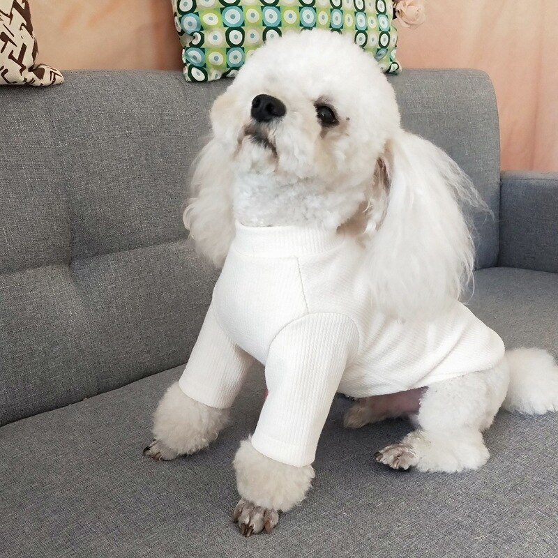 tøye ut hund hettegenser genser kåpe høst vinter hundeklær katt valp klær bichon frise pomeranian puddel kjæledyr kostyme antrekk