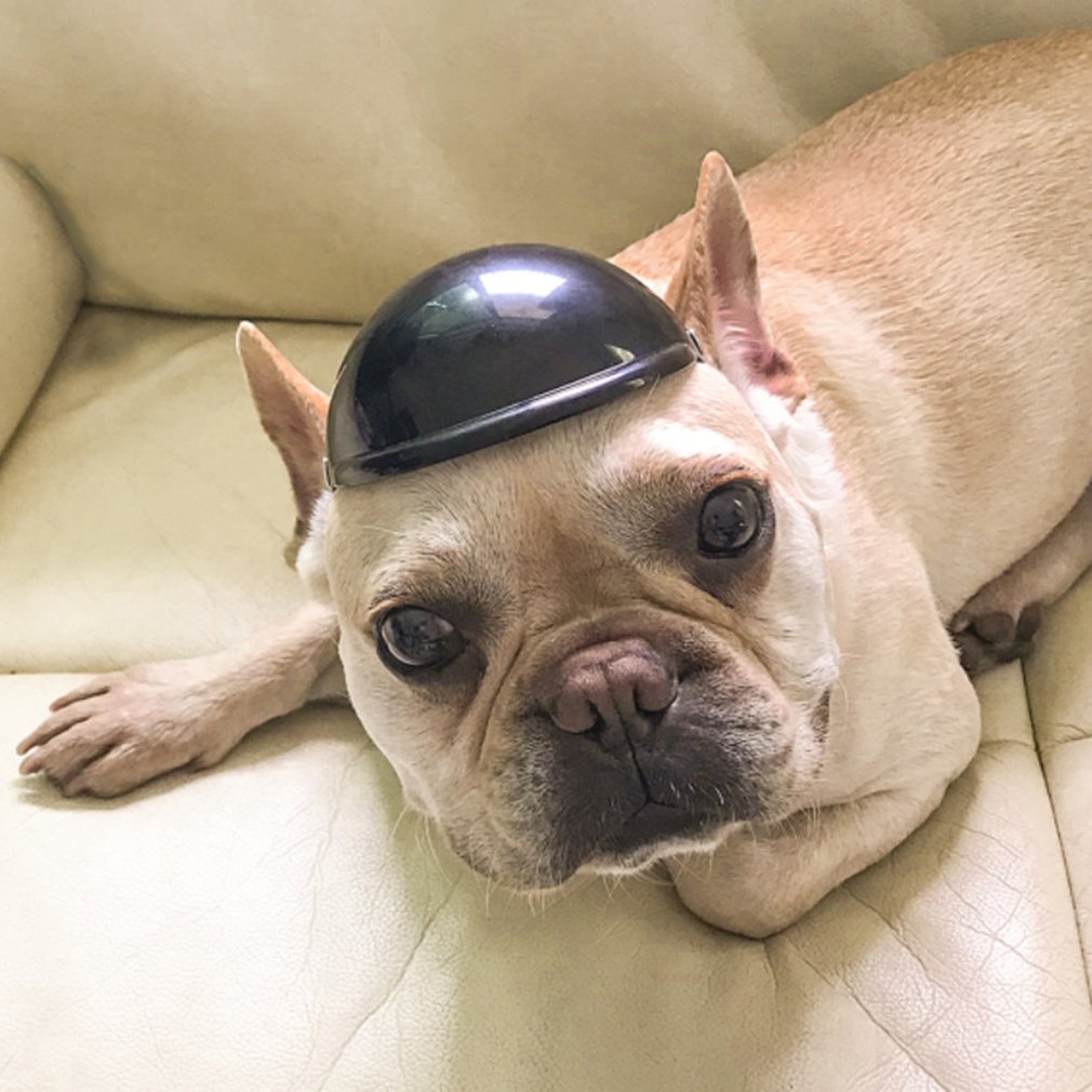 Huisdier Helm Motorfiets Veilig En Betrouwbaar Helm Hond En Kat Accessoires Decoratie Huisdier Speelgoed Hoeden En Hoofddeksels