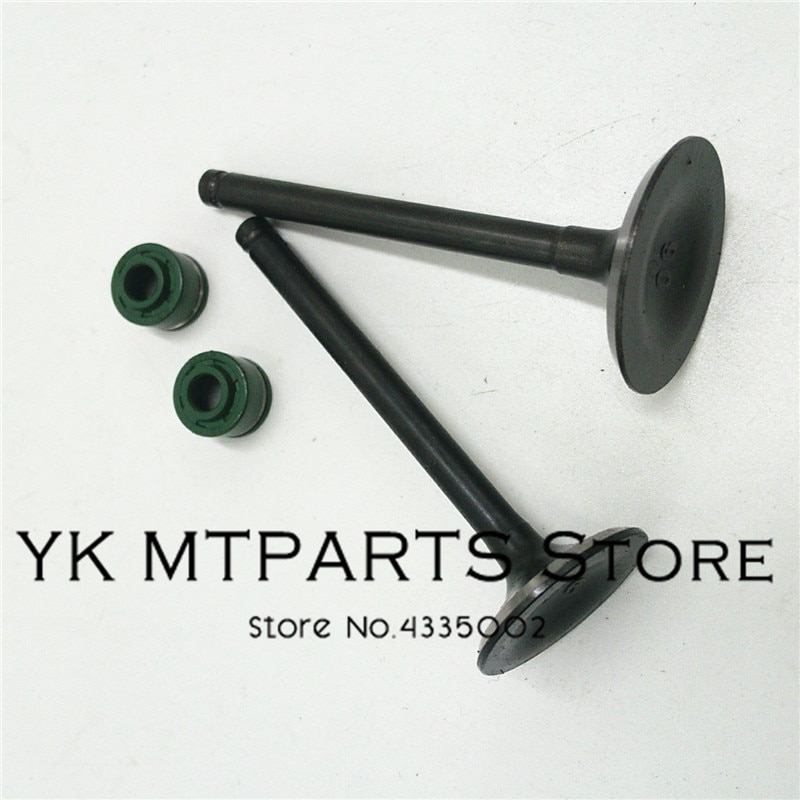 YinXiang motoronderdelen YX140 Klep Oliekeerringen... Grandado