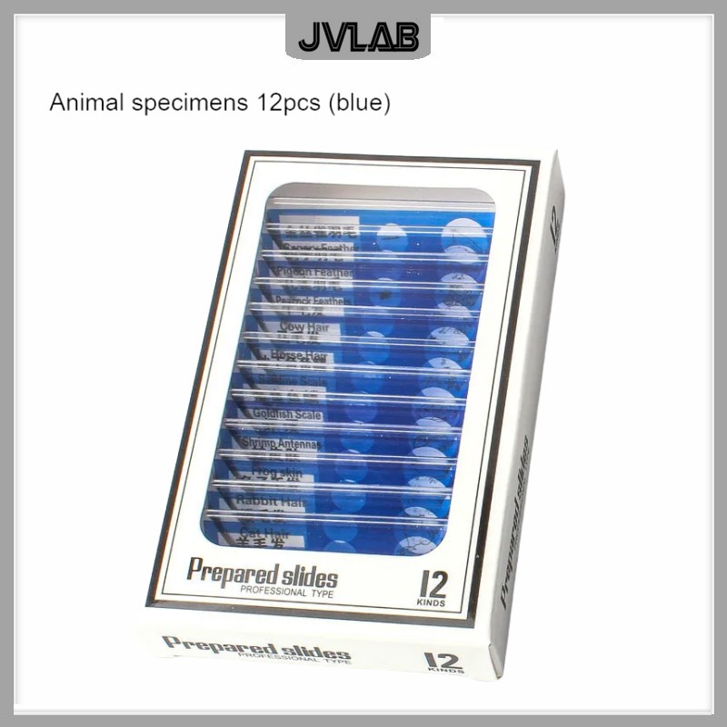 Microscope Slides 12 Children's Standard Microscope Special Plastic bio-slice Specimen Animal Insect Plant Flower Sample Slice