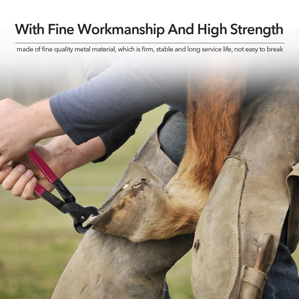 4 STUKS Paard Farrier Hoof Nipper Trim Shoeing Bestand Rasp Handvat Hoef Cutter Tool Horse Care Accessoire Cutter Handvat Mes gereedschap