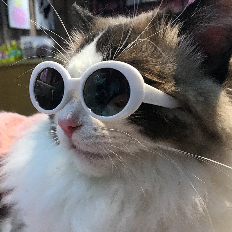 Gafas de sol para gatos, lentes geniales para perros pequeños, producto para mascotas, accesorios para fotografía