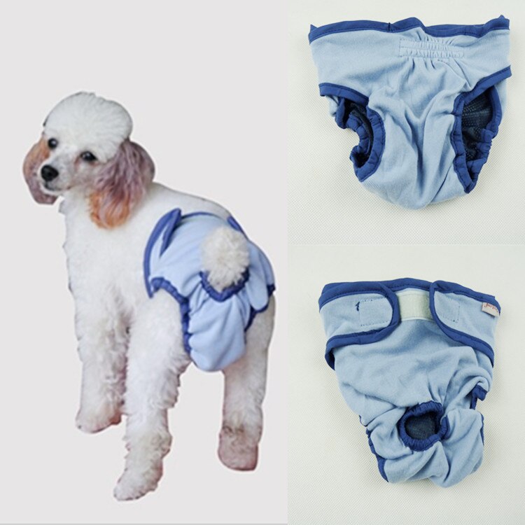 Pet suka spodnie zmywalny pies Diper kobiece pies fizjologiczne szorty koty bielizna zaopatrzenie dla zwierząt domowych: Niebieski / XL chest 60-80 cm