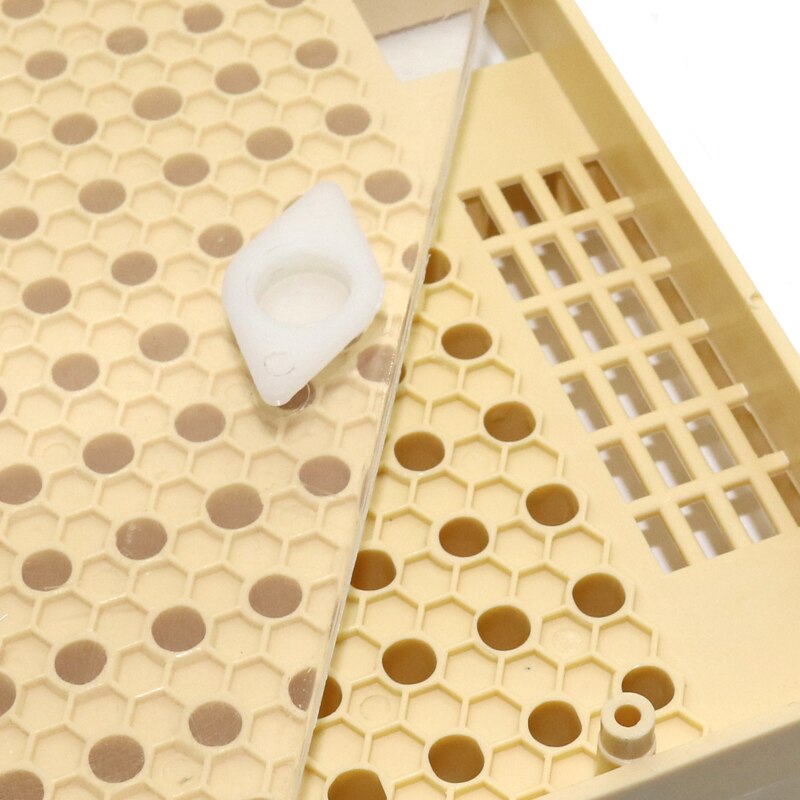 1 Pcs Nicot Queen Bee Grootbrengen Systeem Voor Bijenteelt Plastic Nicot Kooi Gereedschappen