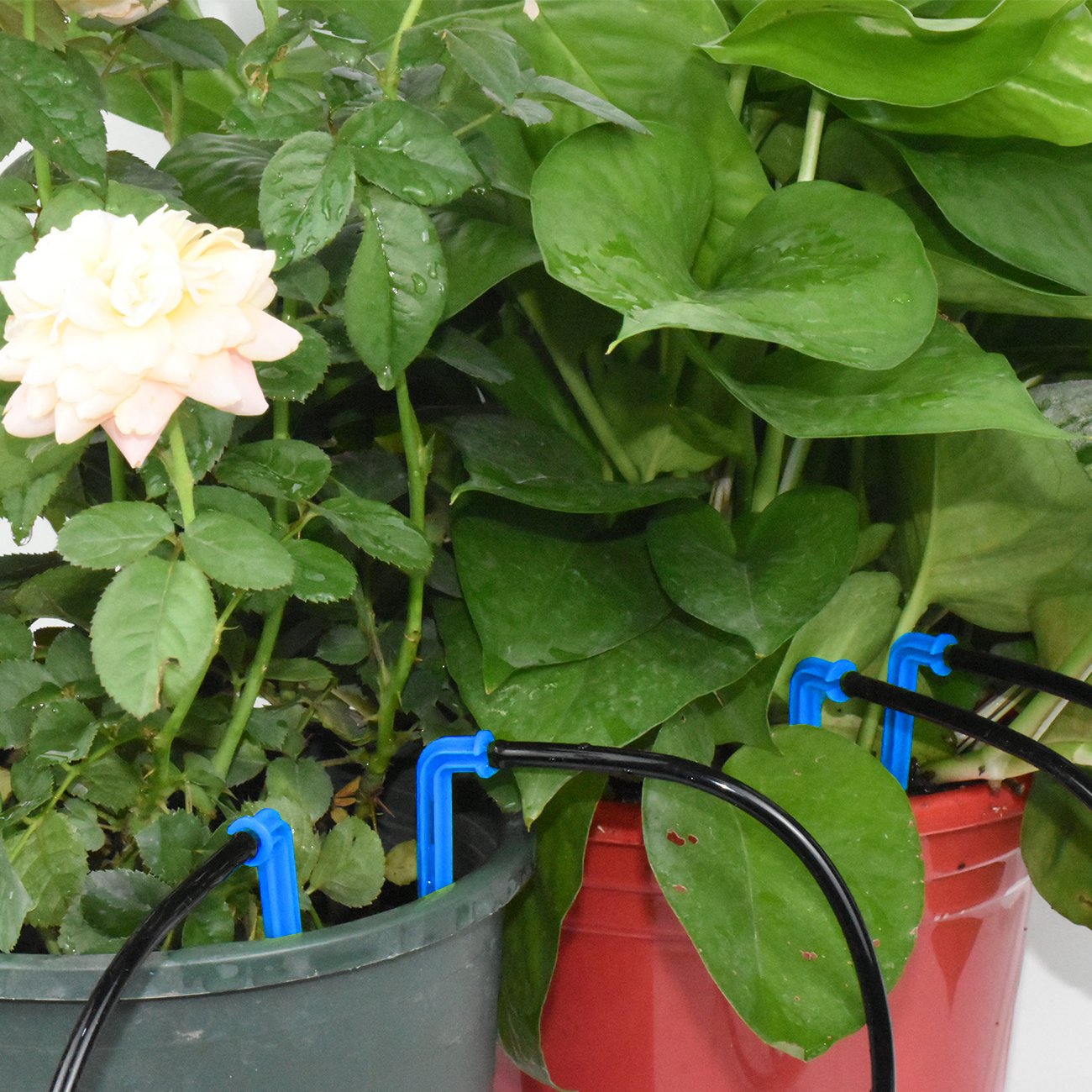 KESLA 10-100M 4Way 2Way 8L Drip Irrigation Kit Transmitter 3/5mm Hose Watering System Dripper Sprinkler Pot Planting Greenhouse