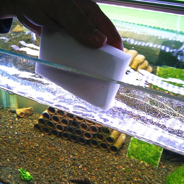Aquarium Aquarium Schoonmaken Snelle Reiniging Glas Nano Spons