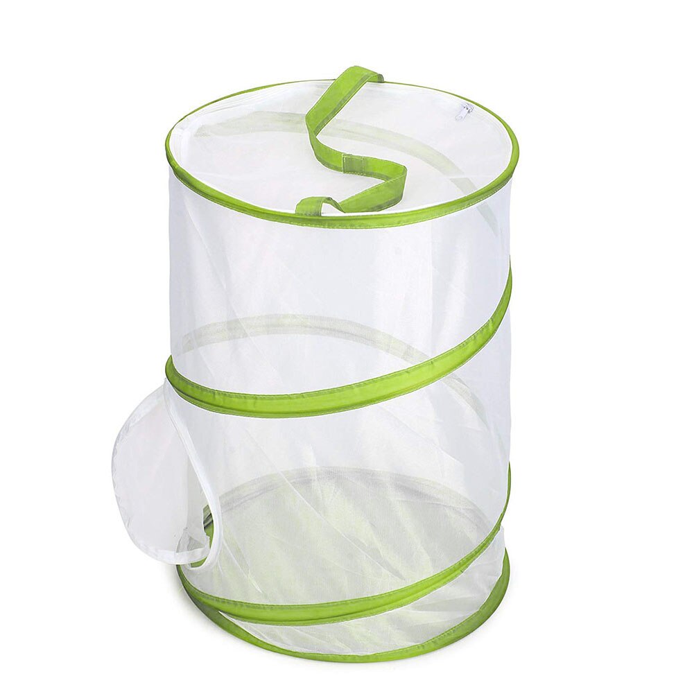 Large Butterfly Habitat Pop-up Giant Butterfly Pavilion Cage Collapsible Insect Terrarium Good Airflow Herramientas