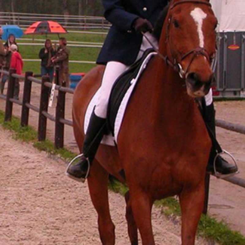 2PCS Children Adults Durable Horse Riding Saddle For Horse Rider Lightweight Wide Track Anti Slip Equestrian